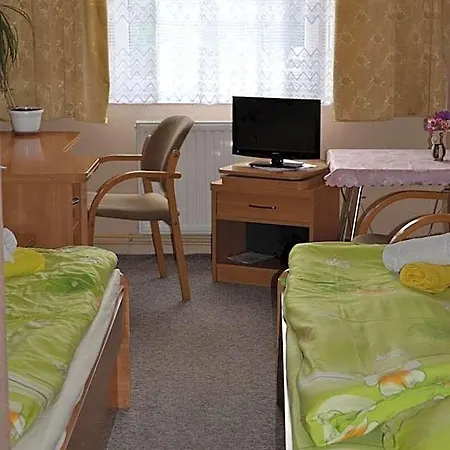Mini-hôtel Maxim *