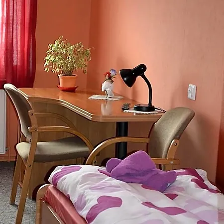 Mini-hôtel Maxim